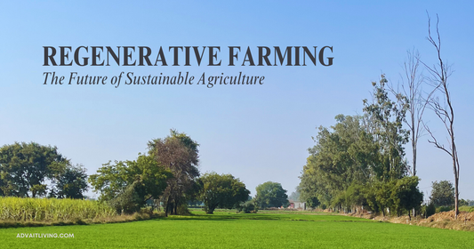 Regenerative Farming – The Future of Sustainable Agriculture