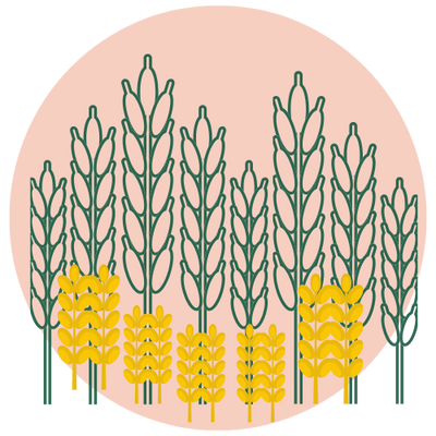 STRAIGHT FROM THE FARMS