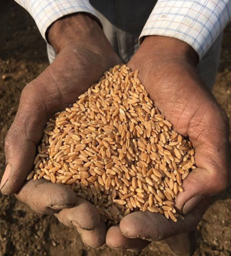 100% Natural Produce From Indian Farms