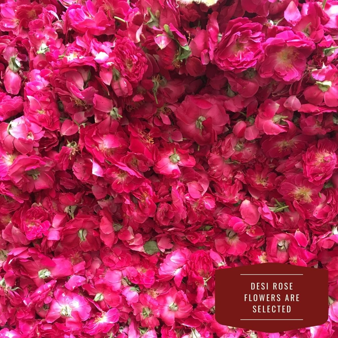 rose flowers heap