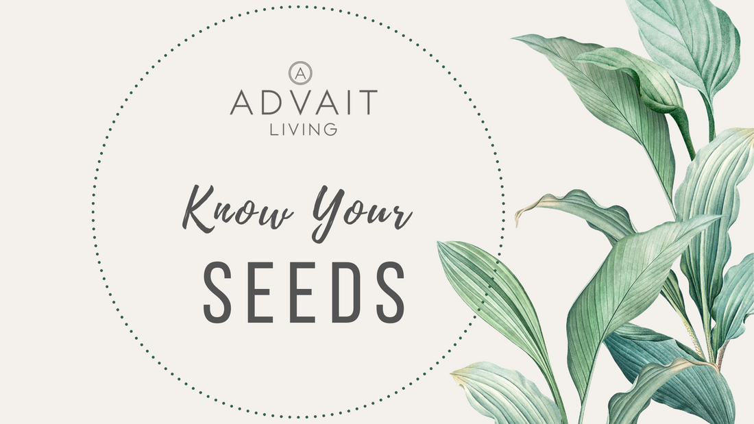 How To Select The Right Quality Seed for Your Vegetable Garden or Farm?