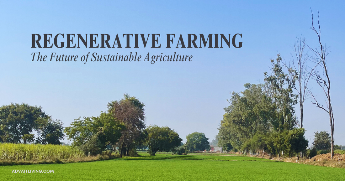 Regenerative Farming – The Future of Sustainable Agriculture